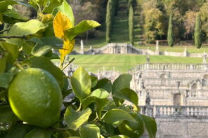 In gita con la … RAI